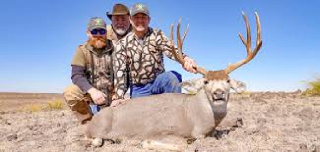 With Infinity Hunts, the Best Mule Deer Hunting Outfitters