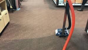 The Complete Answers to Frequently Asked Rug Cleaning Questions from Carpet Cleaning Lane Cove