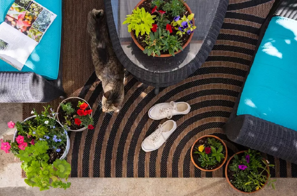 St. Ives’ Ultimate Carpet Refresh: Dive into the World of Flawless Fibers