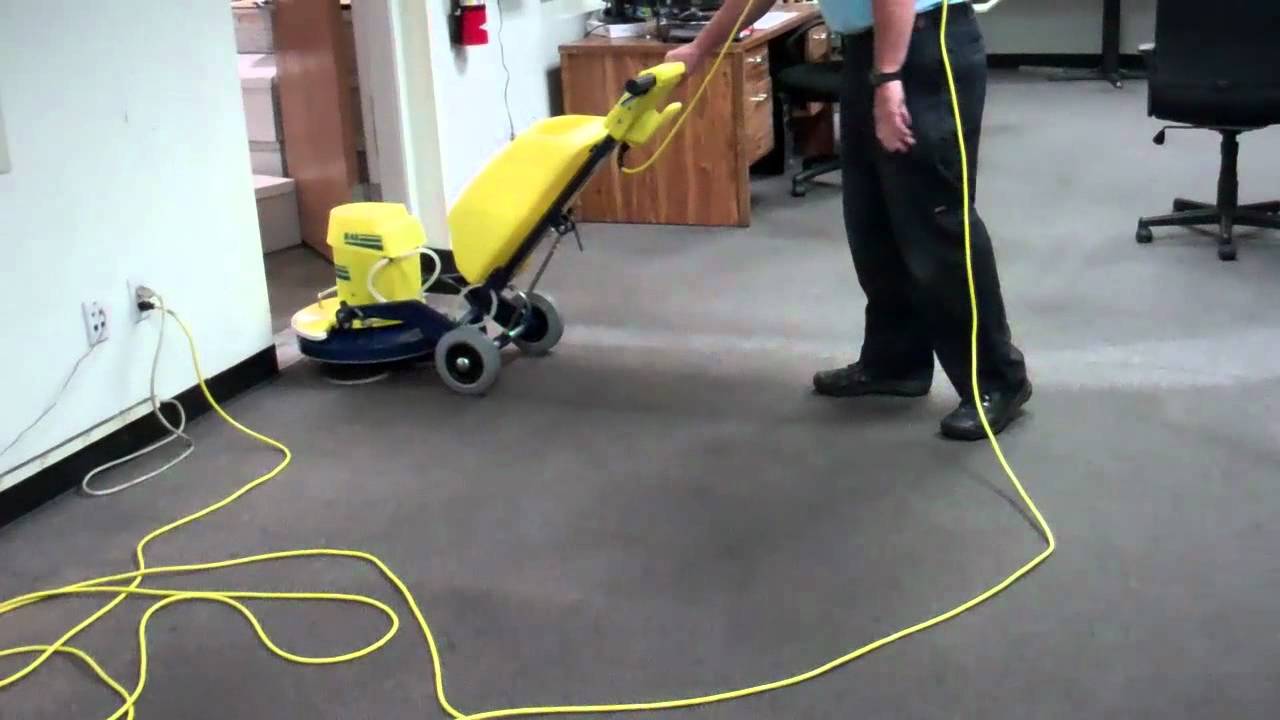 Carpet Cleaning Cammeray’s Magic Wand: Tackling More Than Just Threads and Fibers!