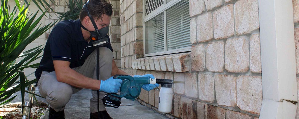 The Importance of Building and Pest Inspections in Gold Coast Properties