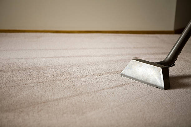Steam Cleaning Carpets: The Good, the Bad, and the Steamy