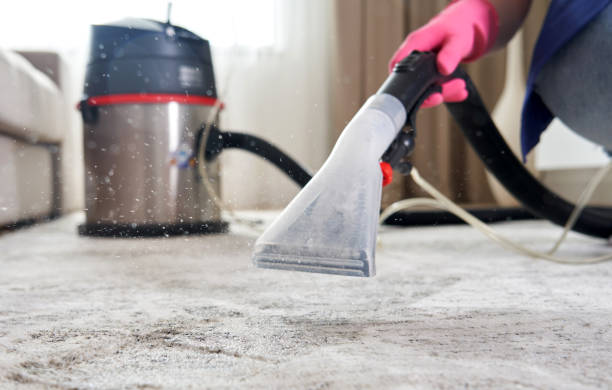 Professional Water Damage Restoration: What to Expect