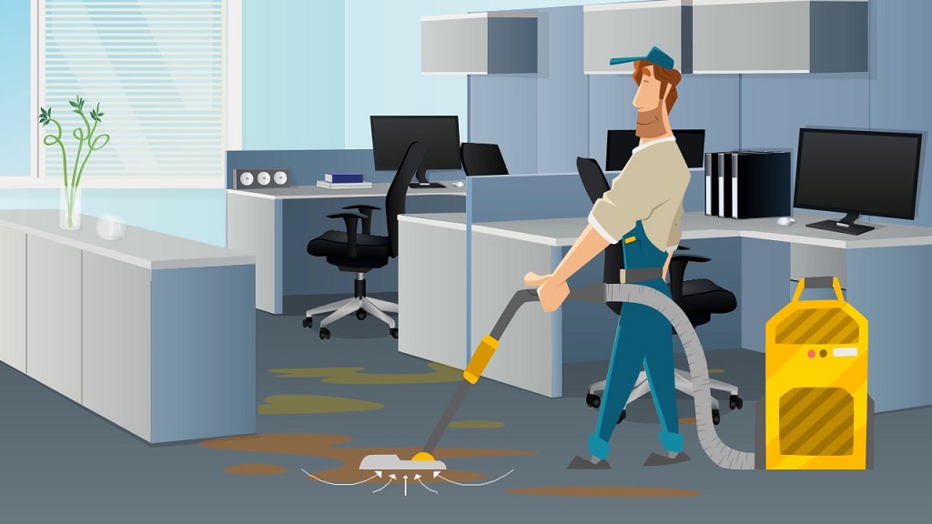 Professional vs. DIY Killara Carpet Cleaning: Maximizing Life