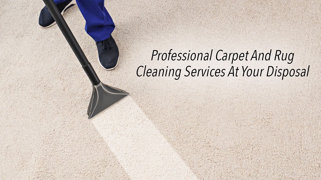 Lane Cove Carpet Cleaning: Fighting Allergens and Pollutants