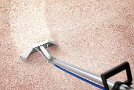 North Shore’s Guide to Seasonal Carpet Care
