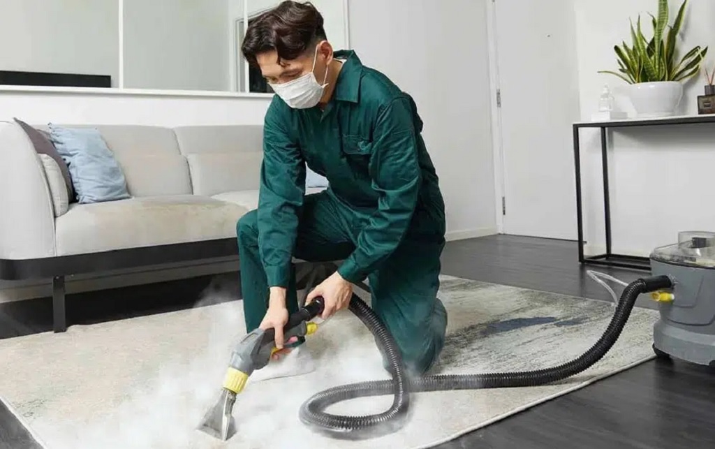 The Hidden Magic of Steam Cleaning Your Carpets
