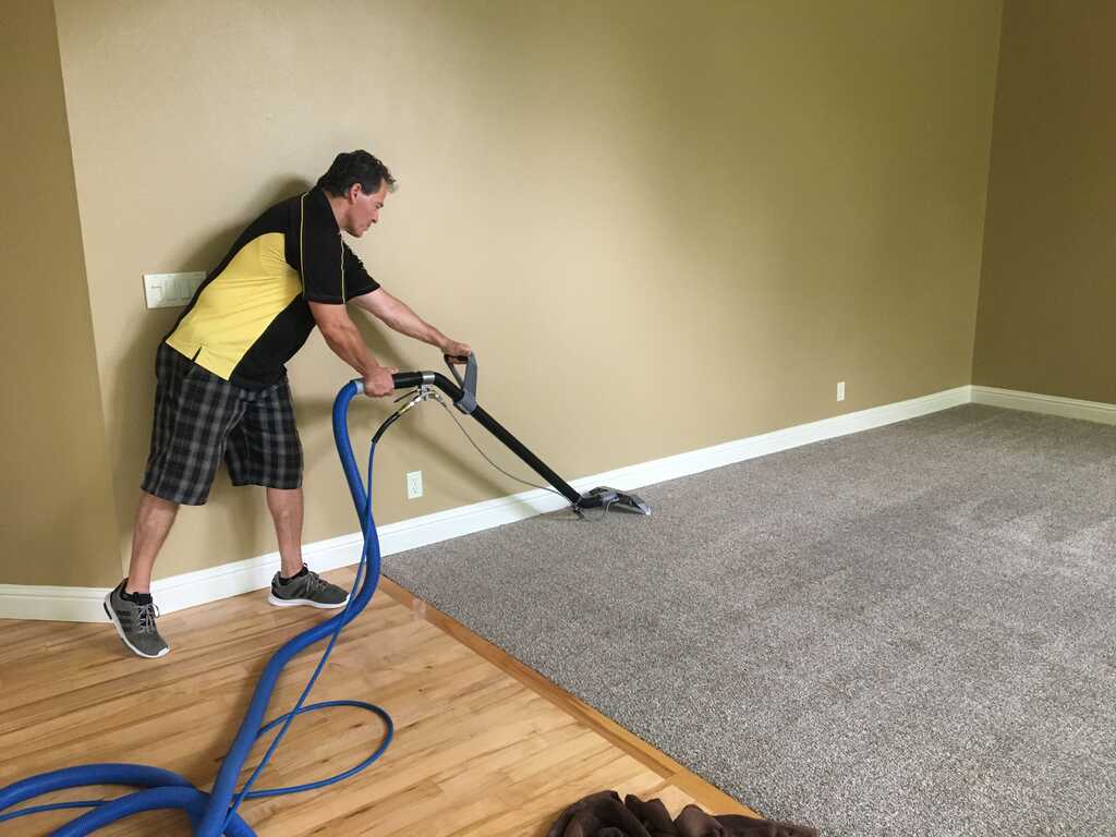 Keep Your Upholstered Furniture Pristine in Northern Beaches
