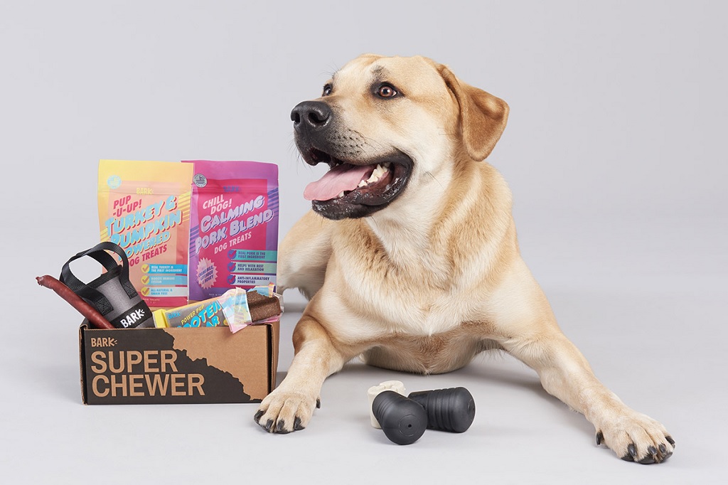 Woof, What a Surprise: Exploring Seasonal Wonders of Bark Box!