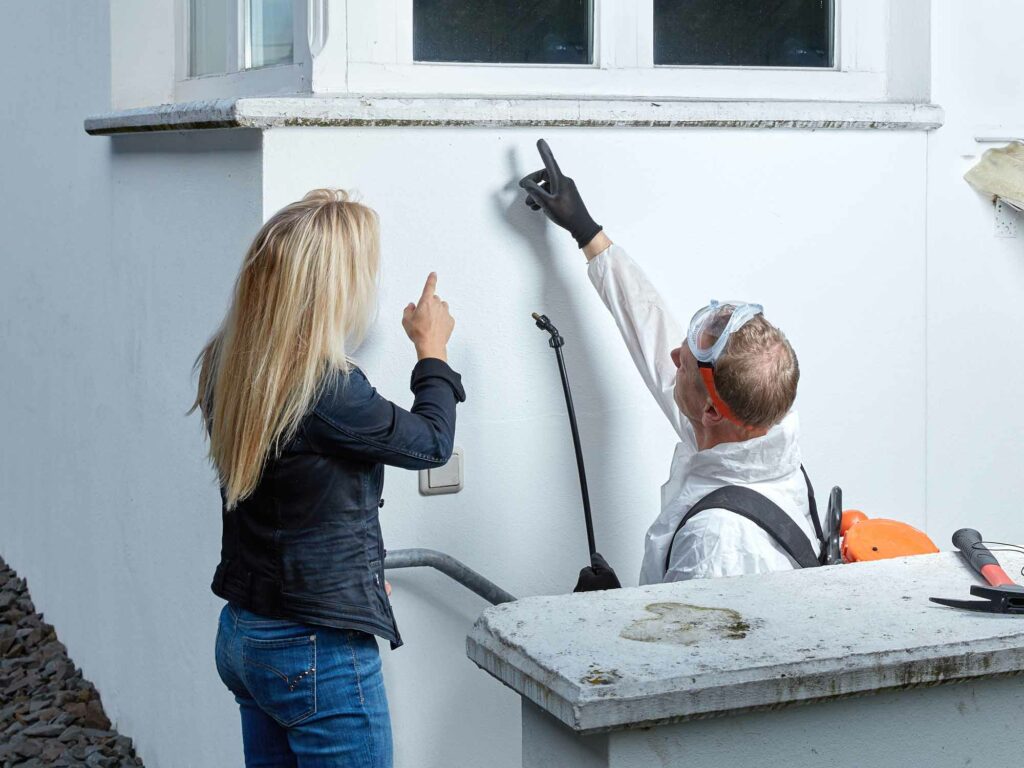Learn About CW Termite & Pest Control LLC, Your Local Experts