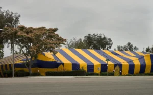 tent fumigation near me