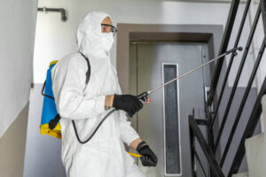 safe termite treatment