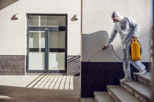 safe termite treatment