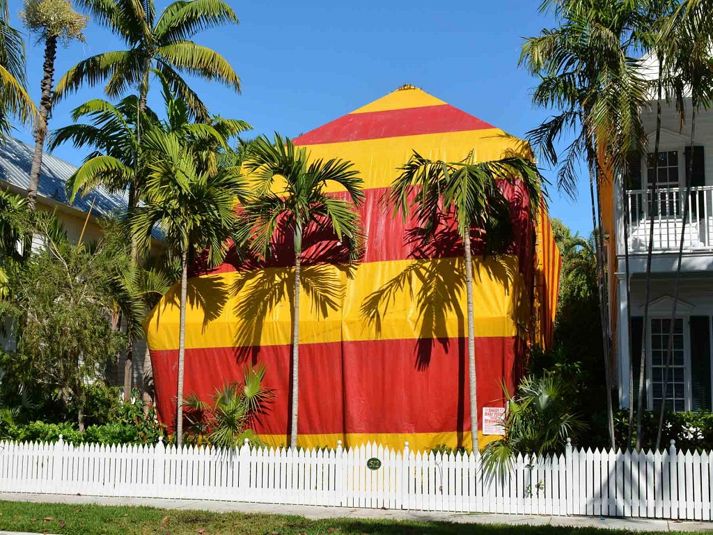 Big Top to Be Fumigated, 4 Surprises No One Warns You About Tent Fumigation Near Me According to Termite Pest Control Near Me Experts
