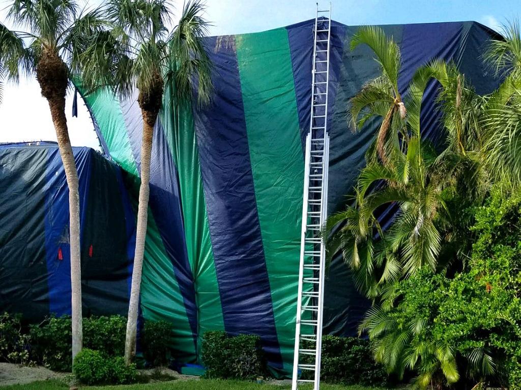 How Long You Need to Leave During Termite Tenting According to Termite Pest Control Near Me Services