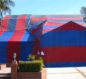 termite tenting near me