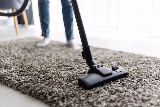 Cost-Effective Carpet Cleaning for Families in Northern Beaches