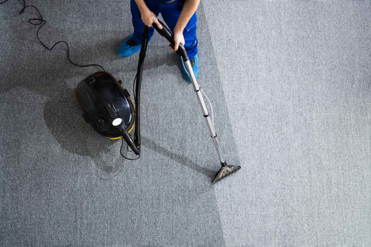 Carpet Cleaning Northern Beaches: Protecting Your Family’s Comfort and Health