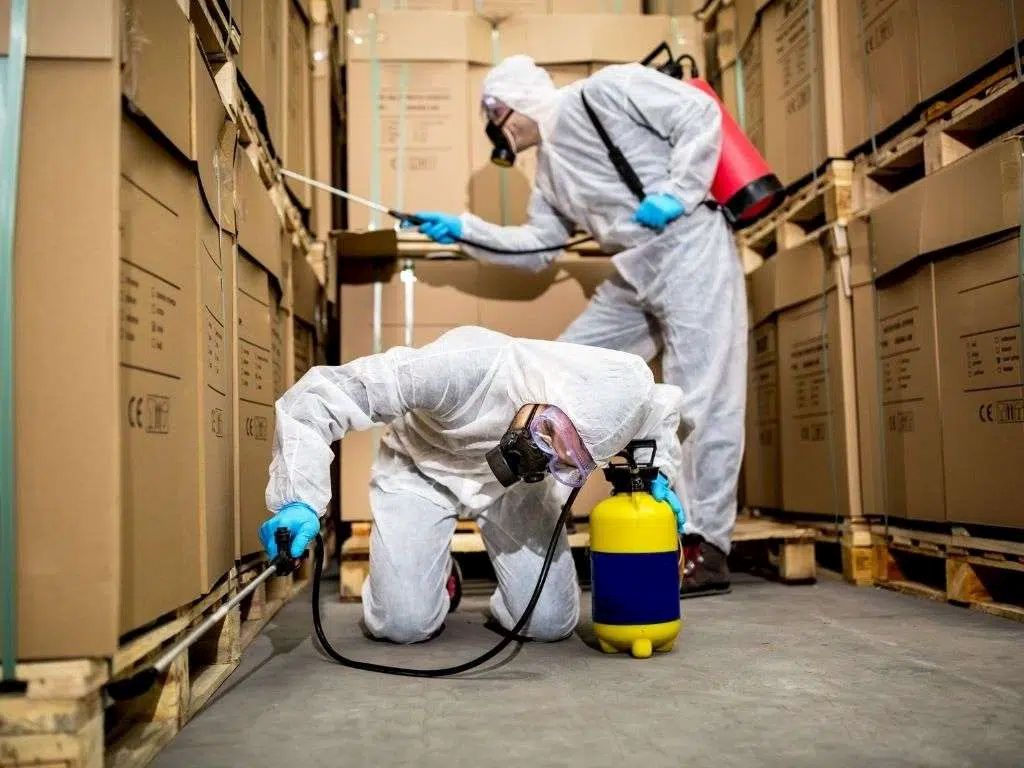 The Positive Impact of Proactive Pest Prevention on Home Health